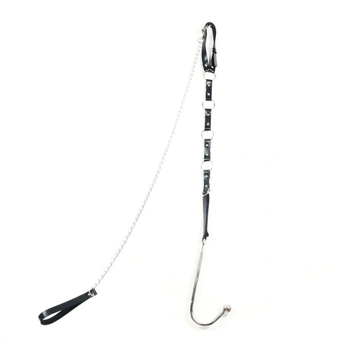 Anal with and Leash Collar Kinky EverydayUse Hook 5853 0110